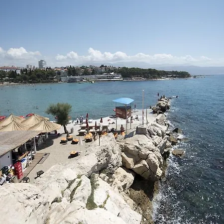 Dragica